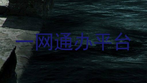 一网通办平台