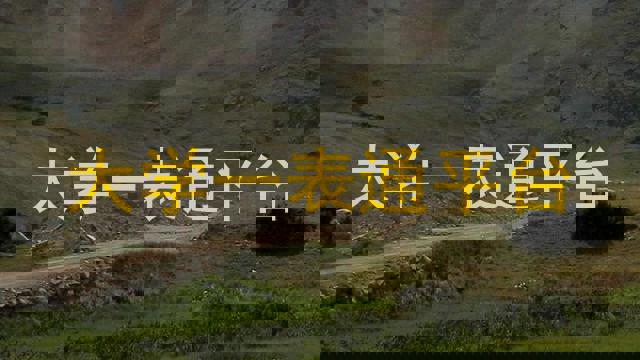 大学一表通平台