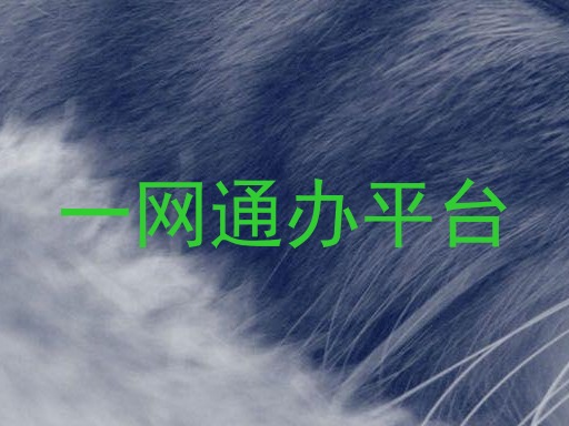大学一表通平台