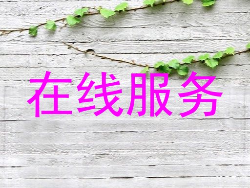 在线服务