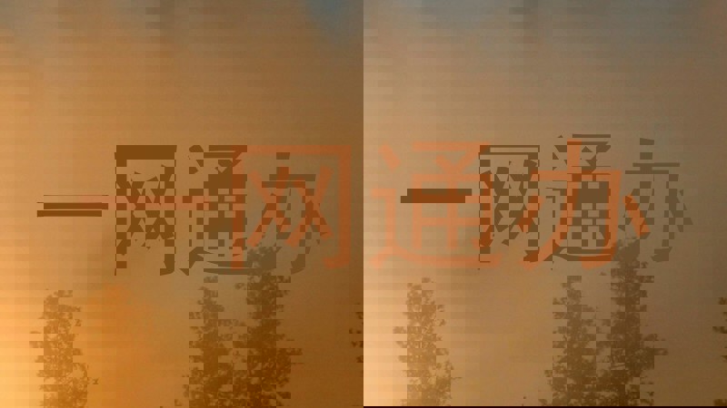 一网通办