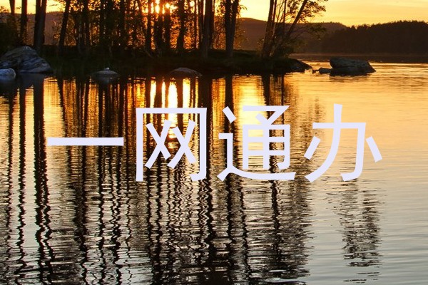 一网通办