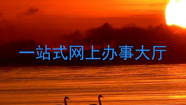 一站式网上办事大厅