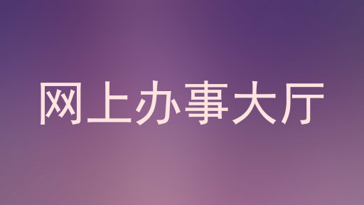 网上办事大厅