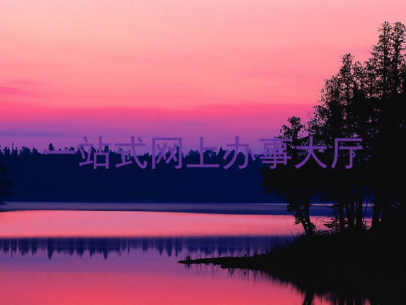 网上办事大厅
