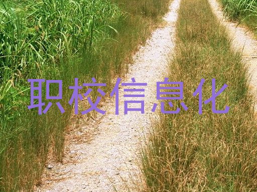 职校信息化
