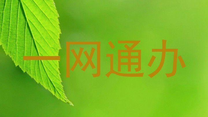 一网通办