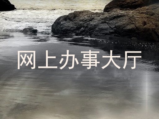 网上办事大厅