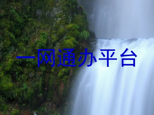 一网通办服务平台