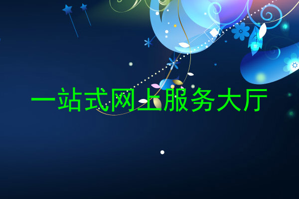 一站式网上服务大厅