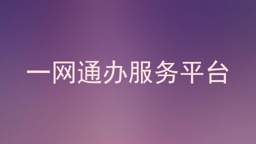 一网通办服务平台