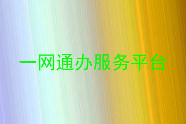 一网通办服务平台