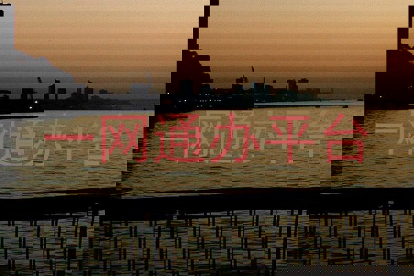 师生一网通办平台