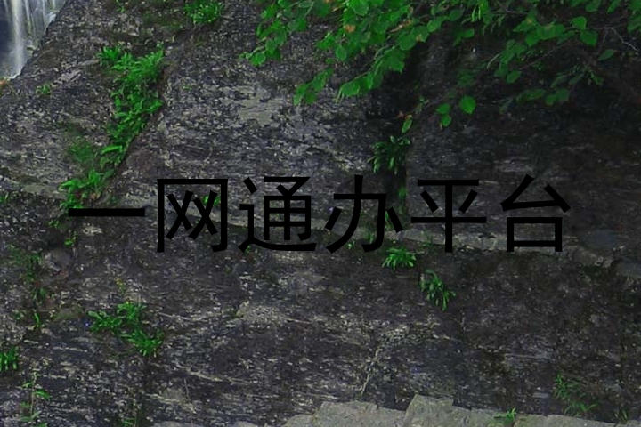 一网通办平台