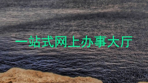 一站式网上办事大厅