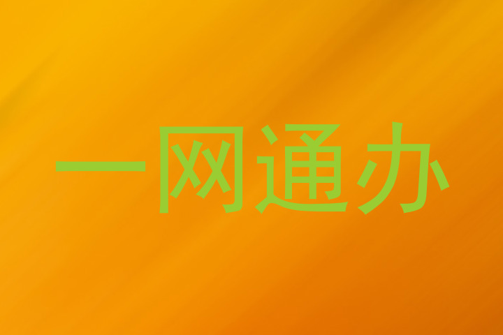 一网通办