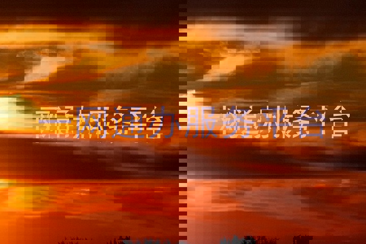 一网通办服务平台