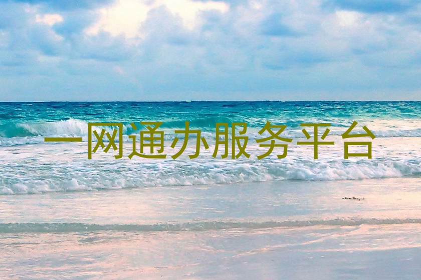 一网通办服务平台