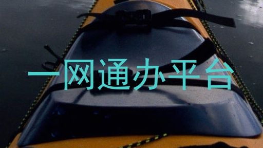 一网通办平台