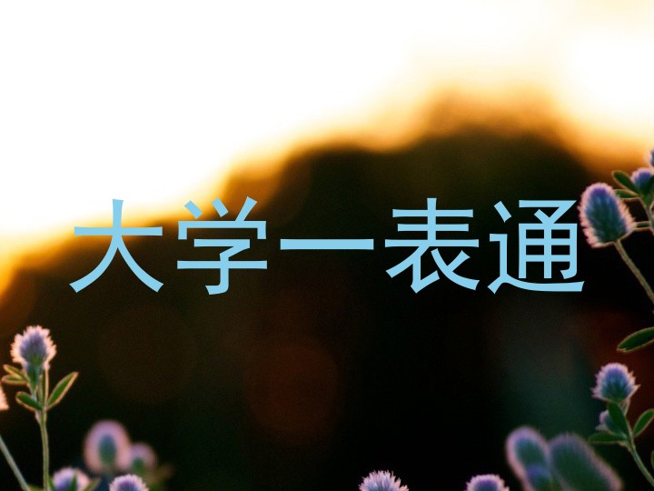 大学一表通