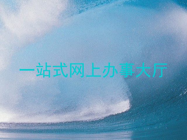 一站式网上办事大厅