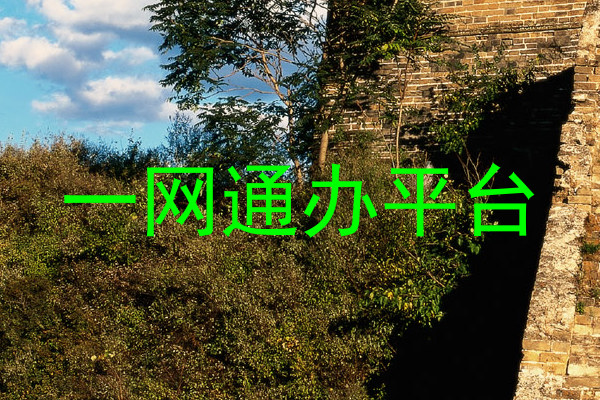 一网通办平台