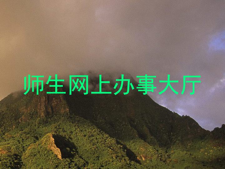 师生网上办事大厅