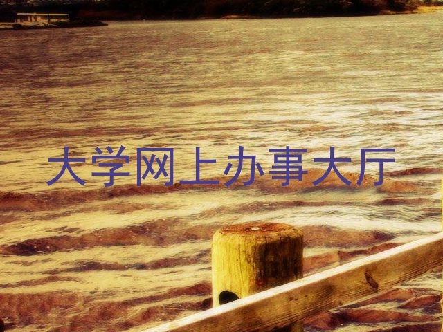 大学网上办事大厅