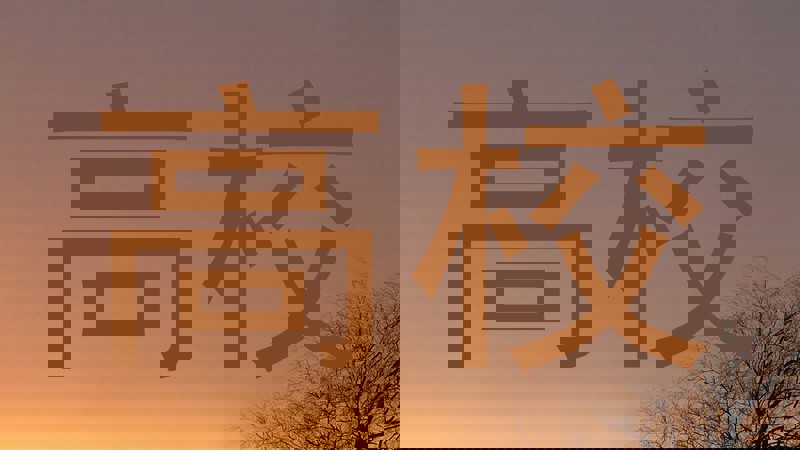 高校