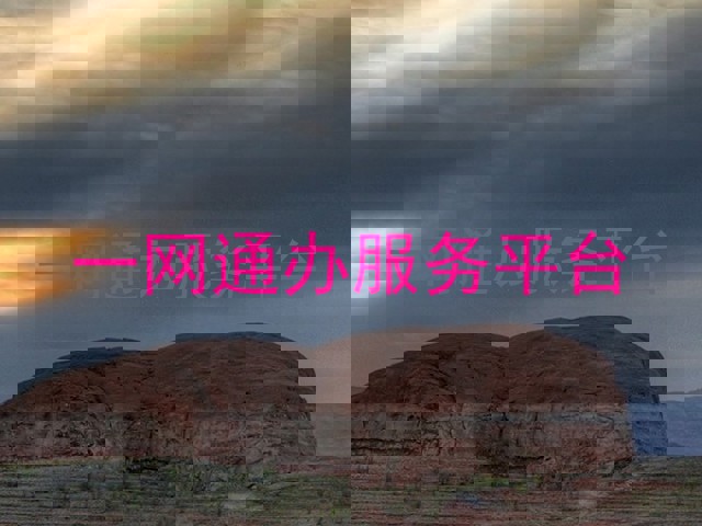 一网通办服务平台