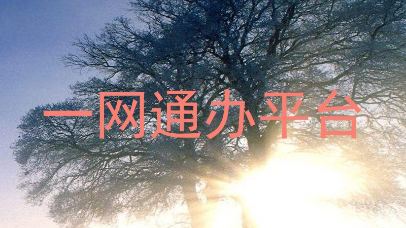 一网通办服务平台