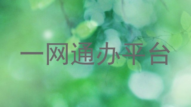 一网通办服务平台