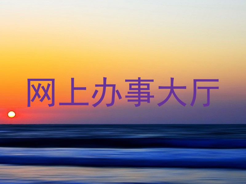 网上办事大厅
