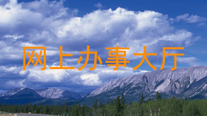 网上办事大厅
