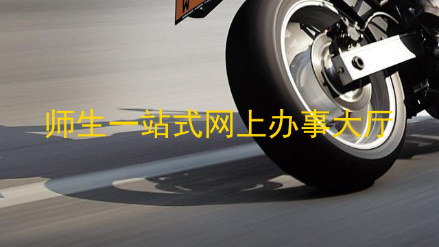 师生一站式网上办事大厅