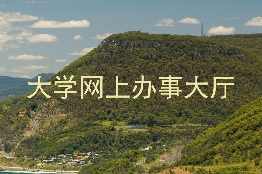 大学网上办事大厅