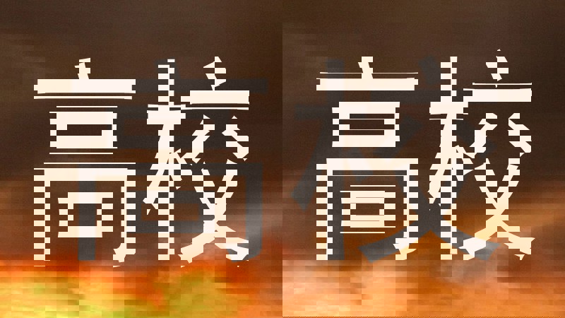 高校