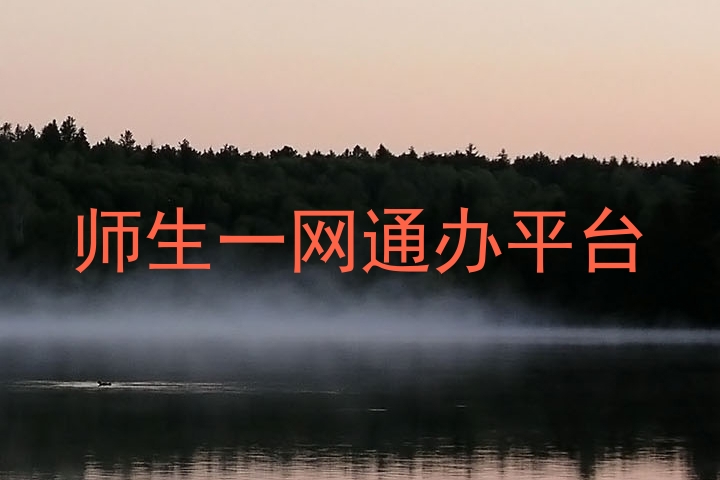 师生一网通办平台