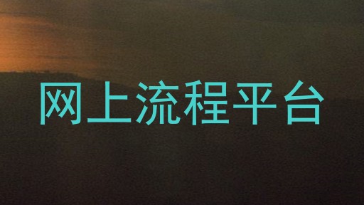 网上流程平台