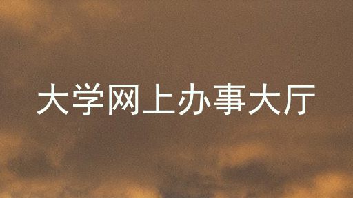 大学网上办事大厅
