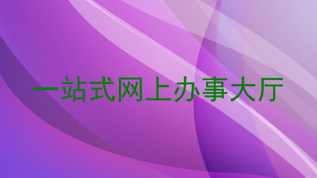 一站式网上办事大厅