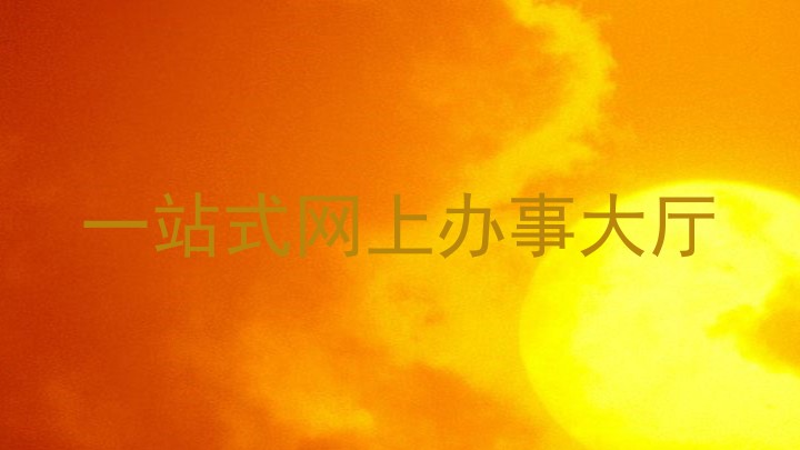 大学网上办事大厅