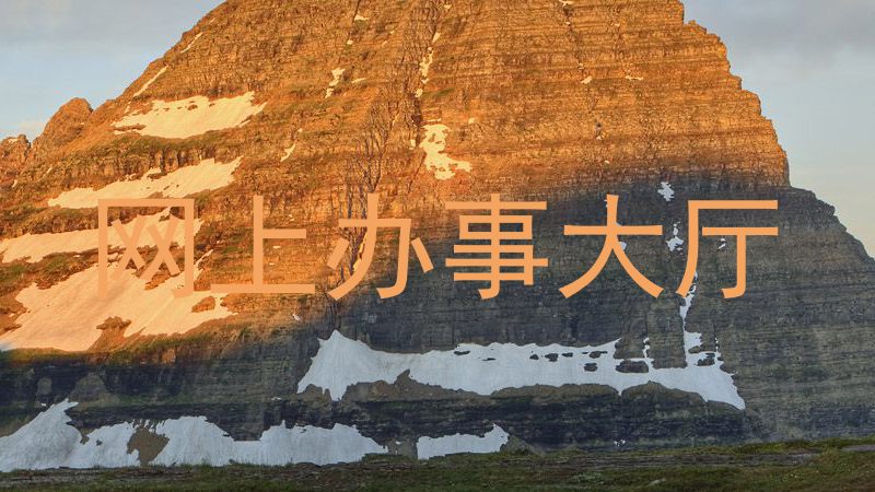 网上办事大厅