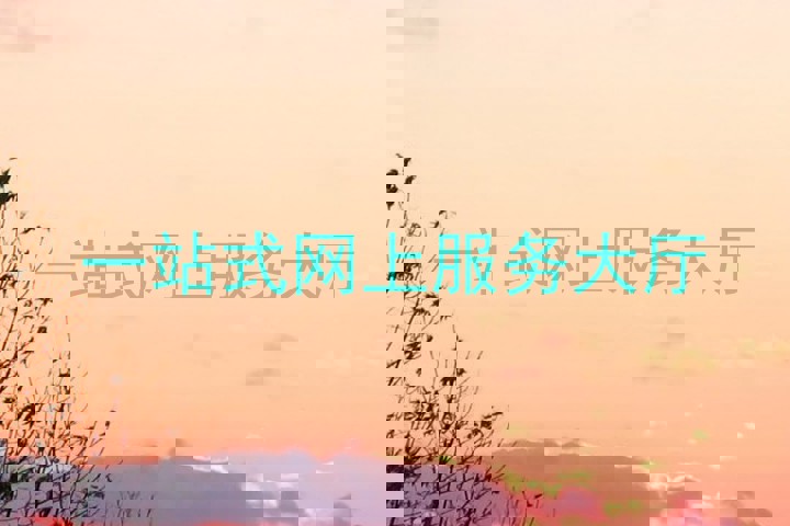 一站式网上服务大厅