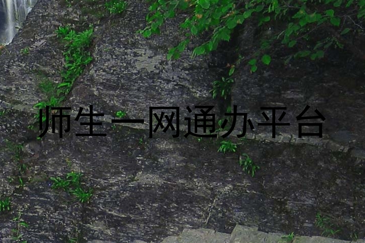 师生一网通办平台