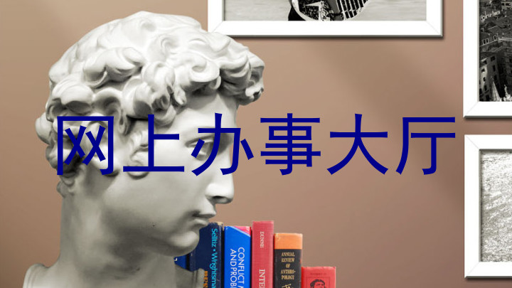 网上办事大厅