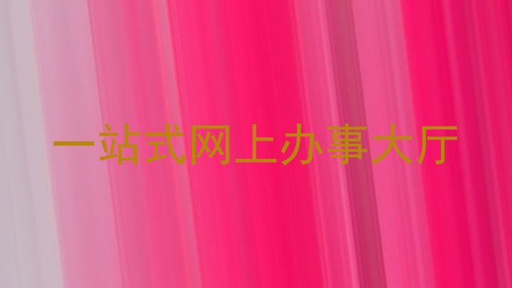 一站式网上办事大厅
