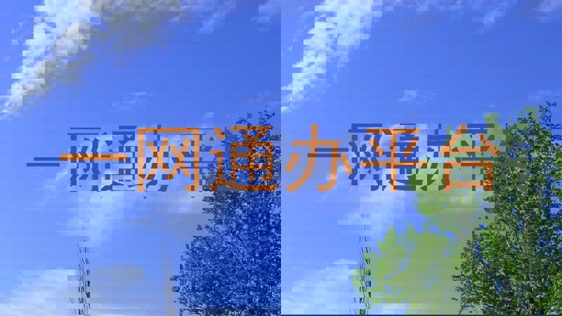 一网通办平台