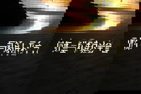 师生一网通办平台