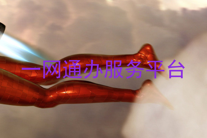 一网通办服务平台
